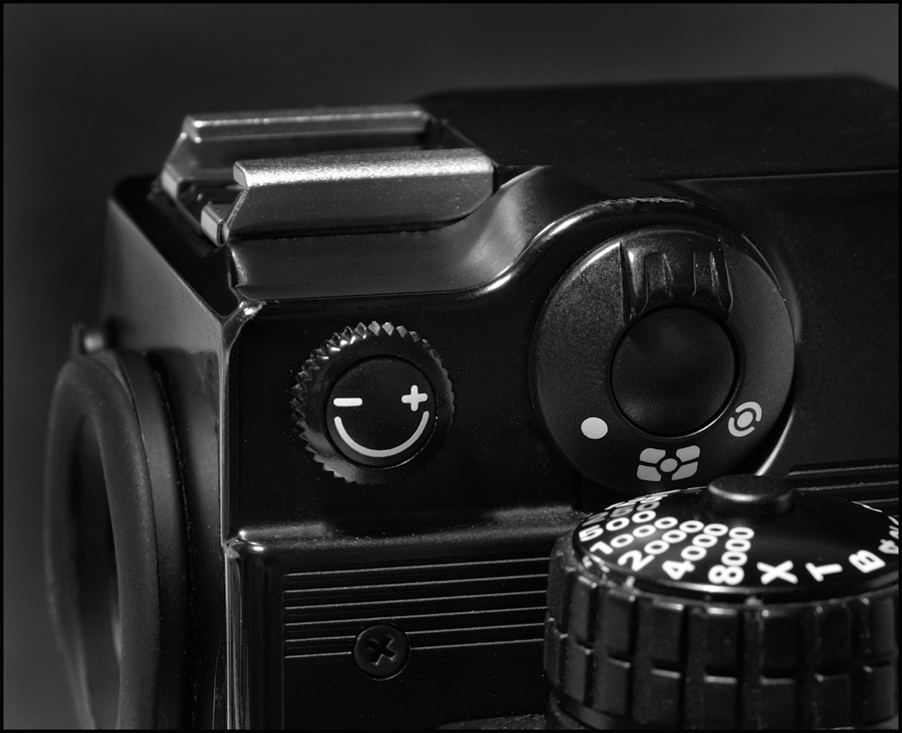 Nikon F4 PhotoReview