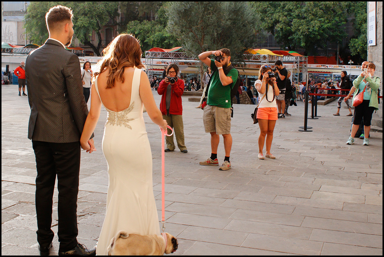 ¿Cámara o móvil? Cámara 2