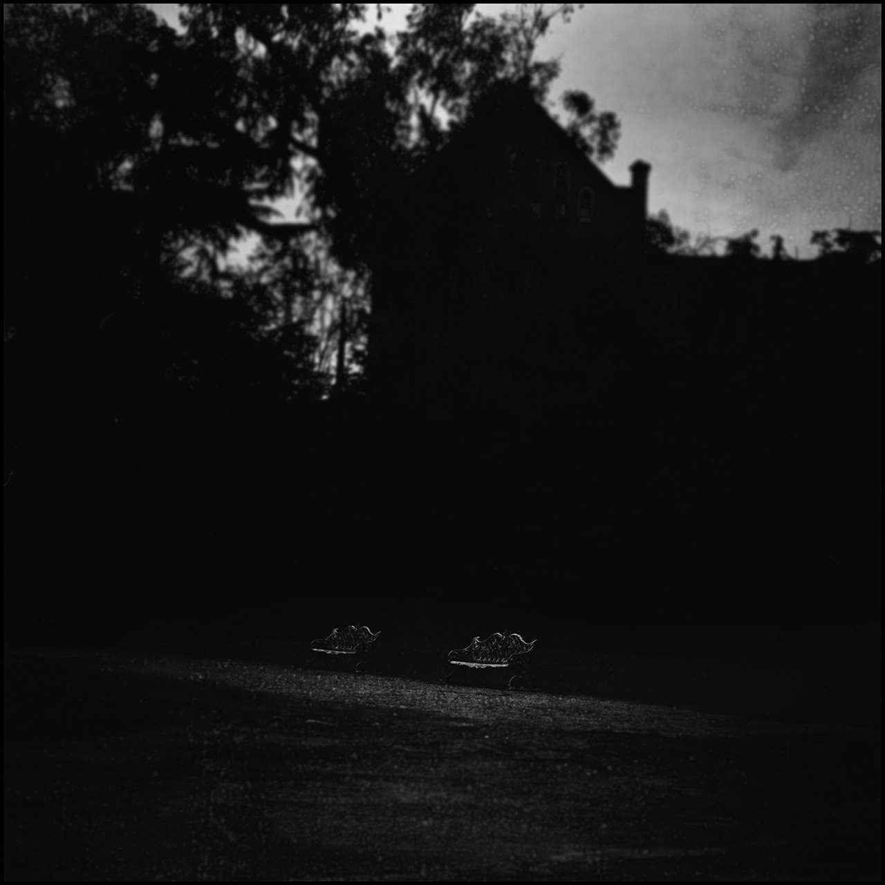 Film Washi "E" Bancos