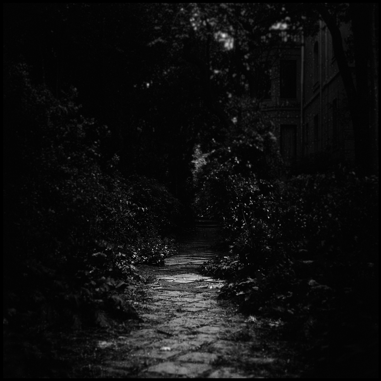 Film Washi "E" Camino