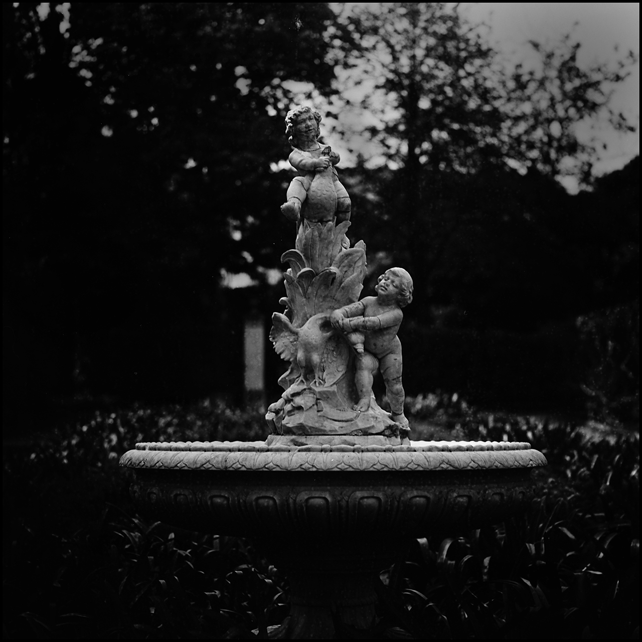 Film Washi "E" Fuente