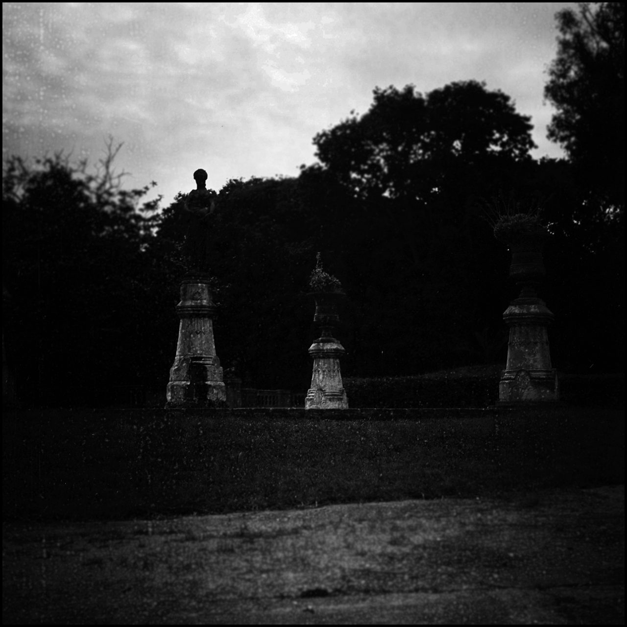 Film Washi "E" Noche