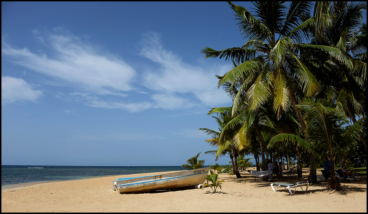 ¿Cámara o móvil? Móvil 3