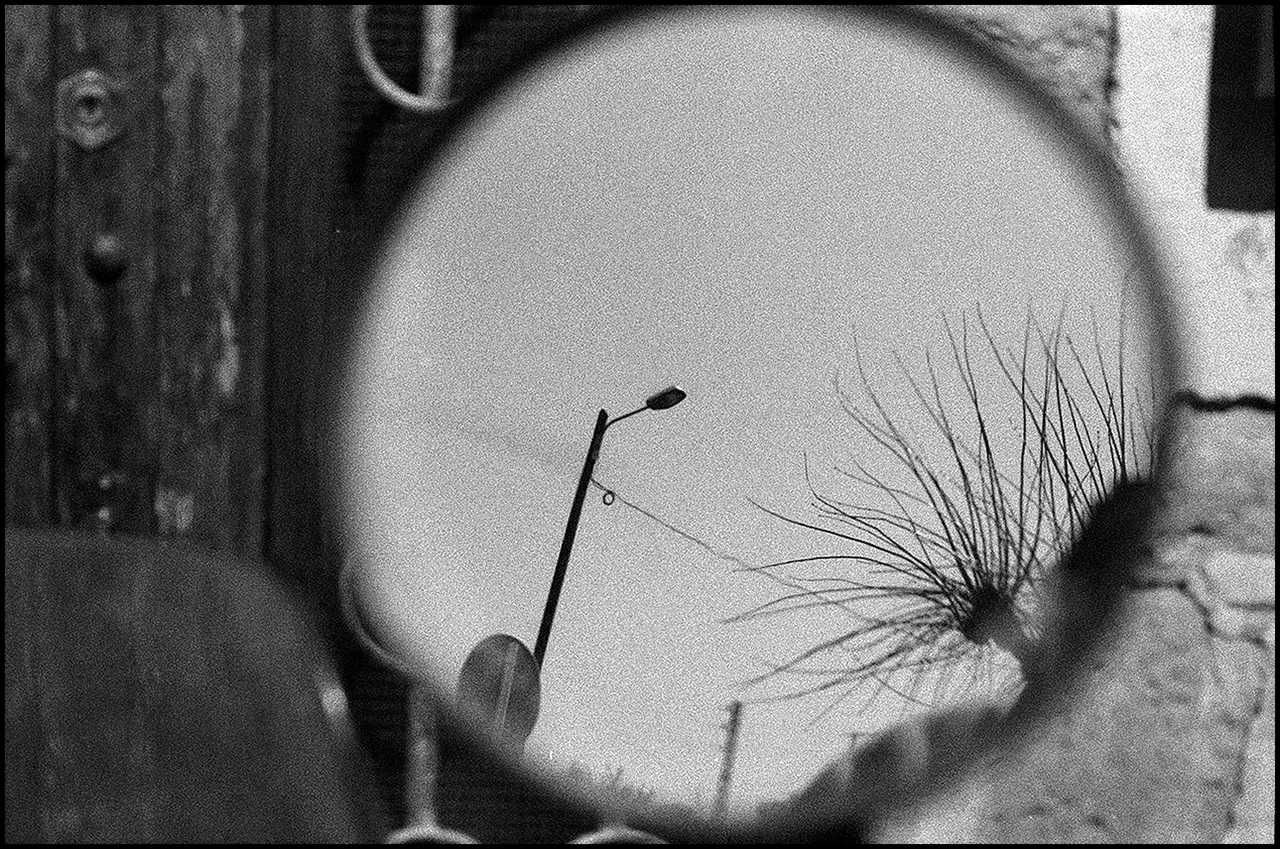 Lucky SHD 100 Reflejo