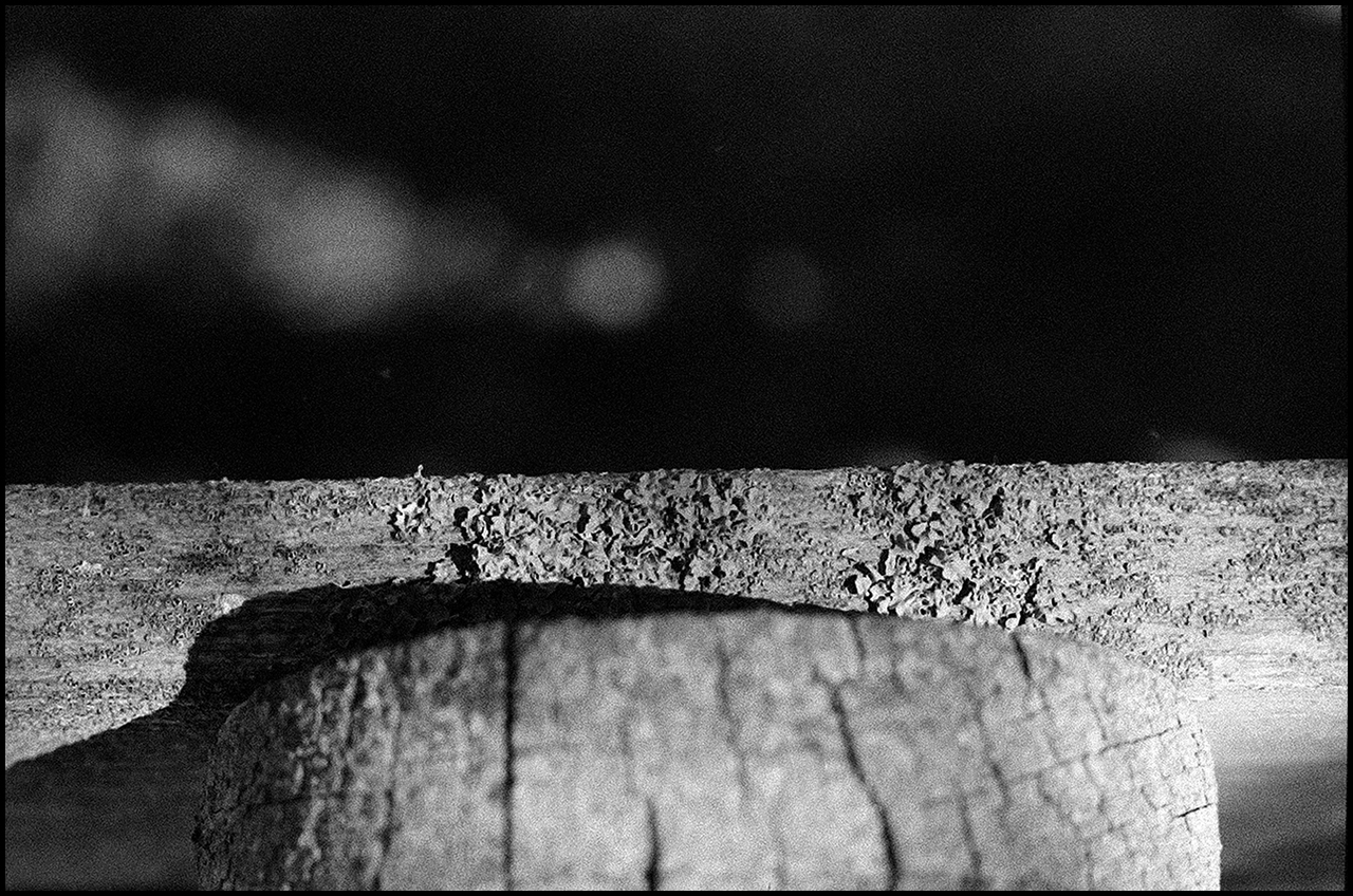 Lucky SHD 100 Verdín
