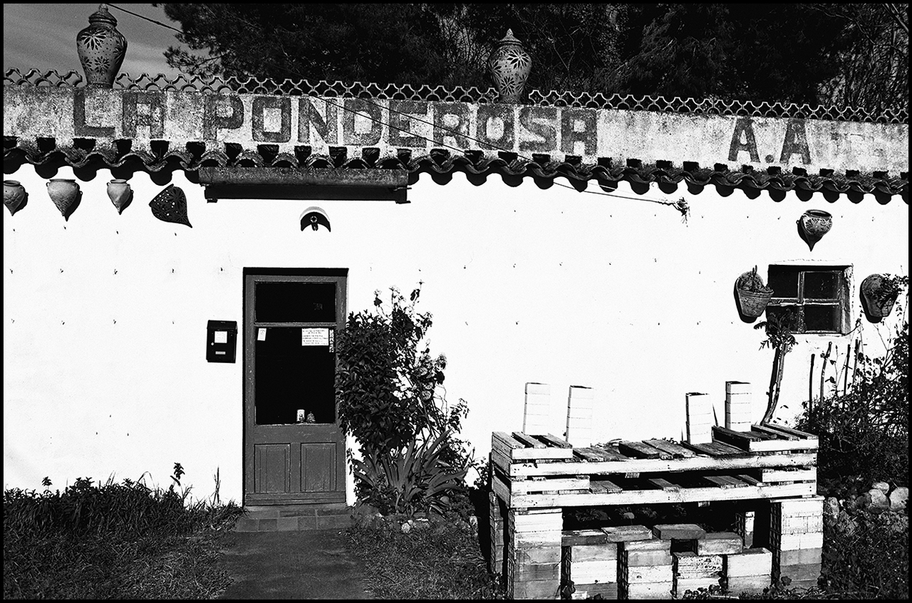 Contax T3 La Ponderosa
