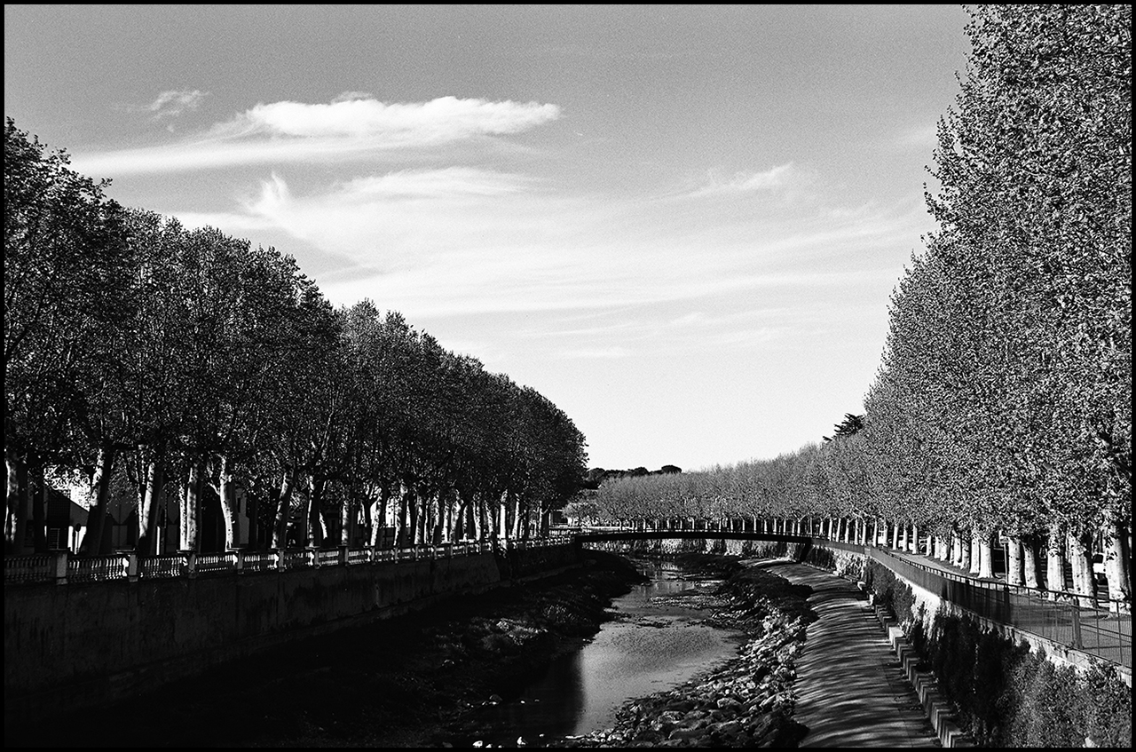 Contax T3 Riu