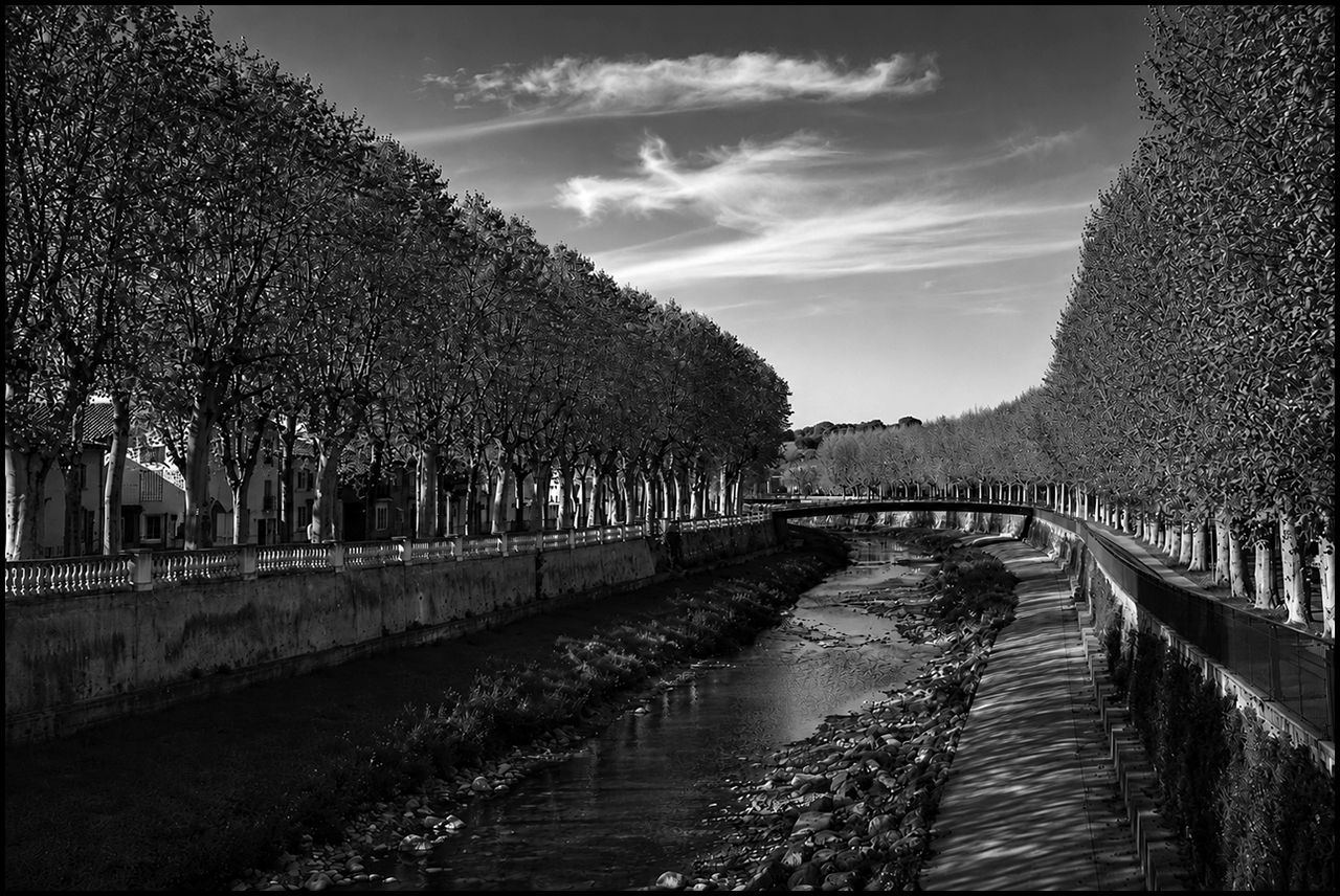 Los filtros en blanco y negro Amarillo