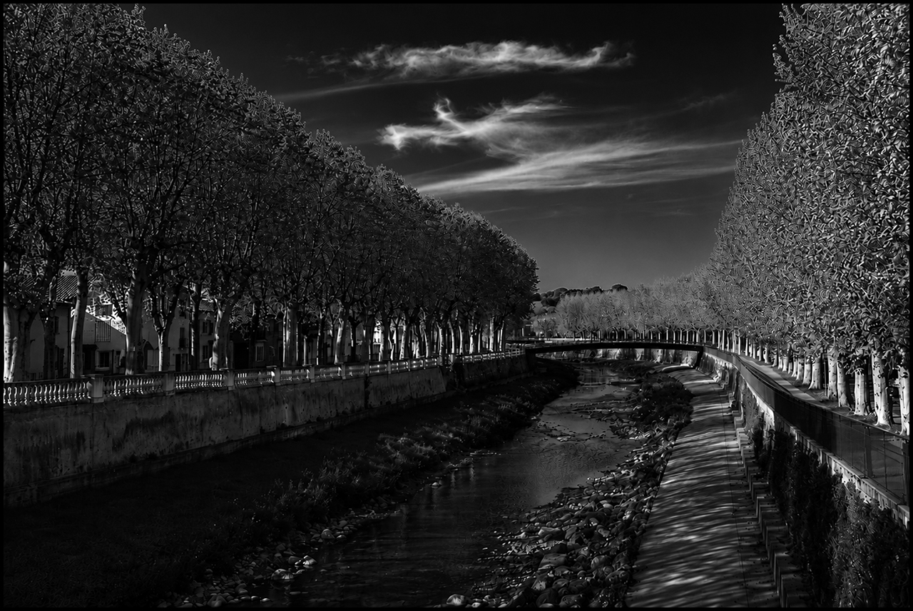 Filtros para blanco y negro Naranja