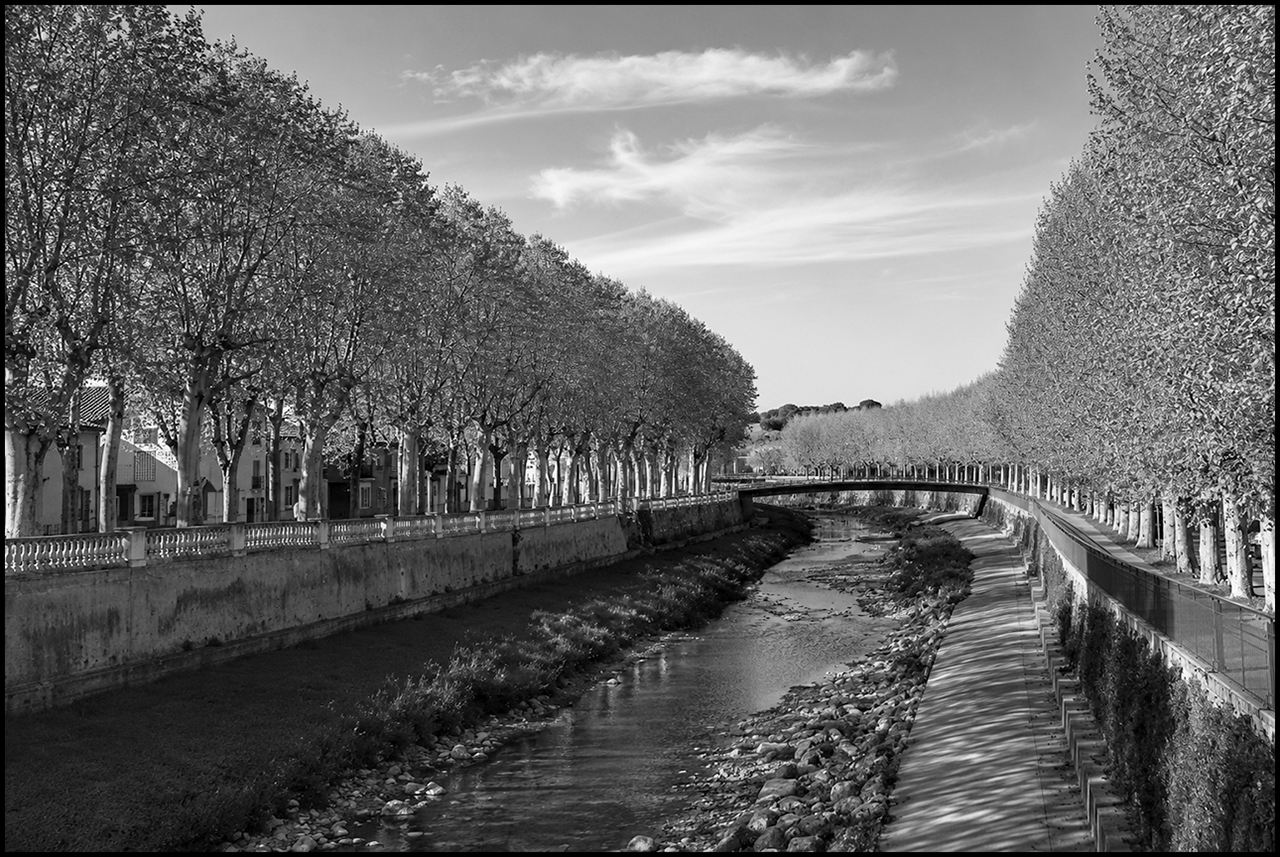 Filtros para blanco y negro Referencia
