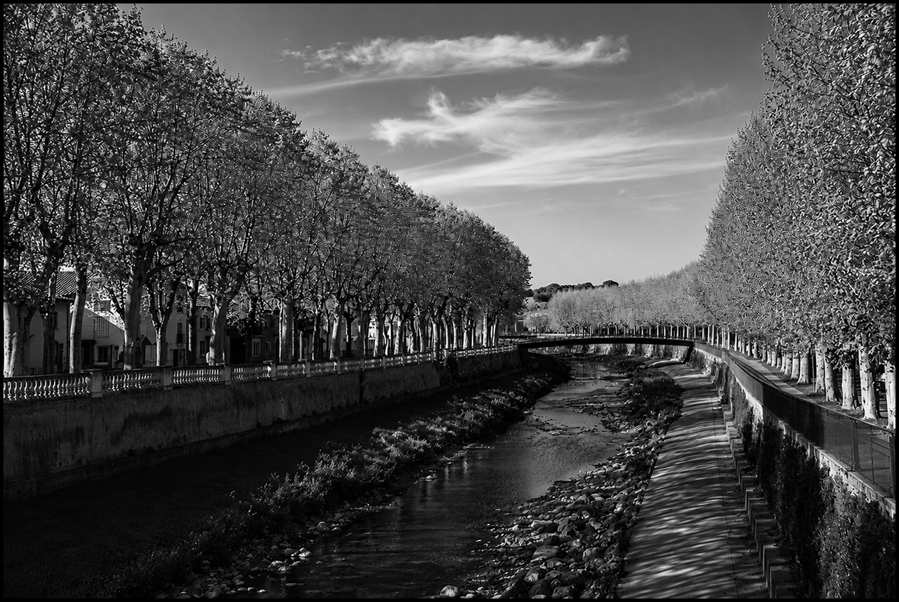 Los filtros en blanco y negro Verde