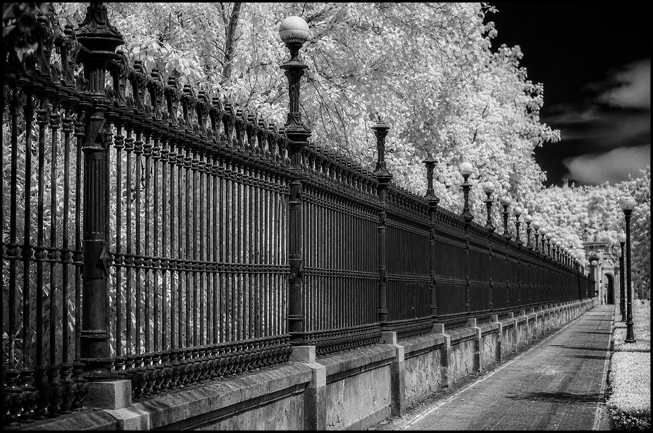 Ilford SFX 200 Ciutadella