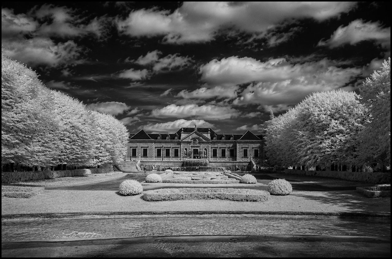 Ilford SFX 200 Palauet