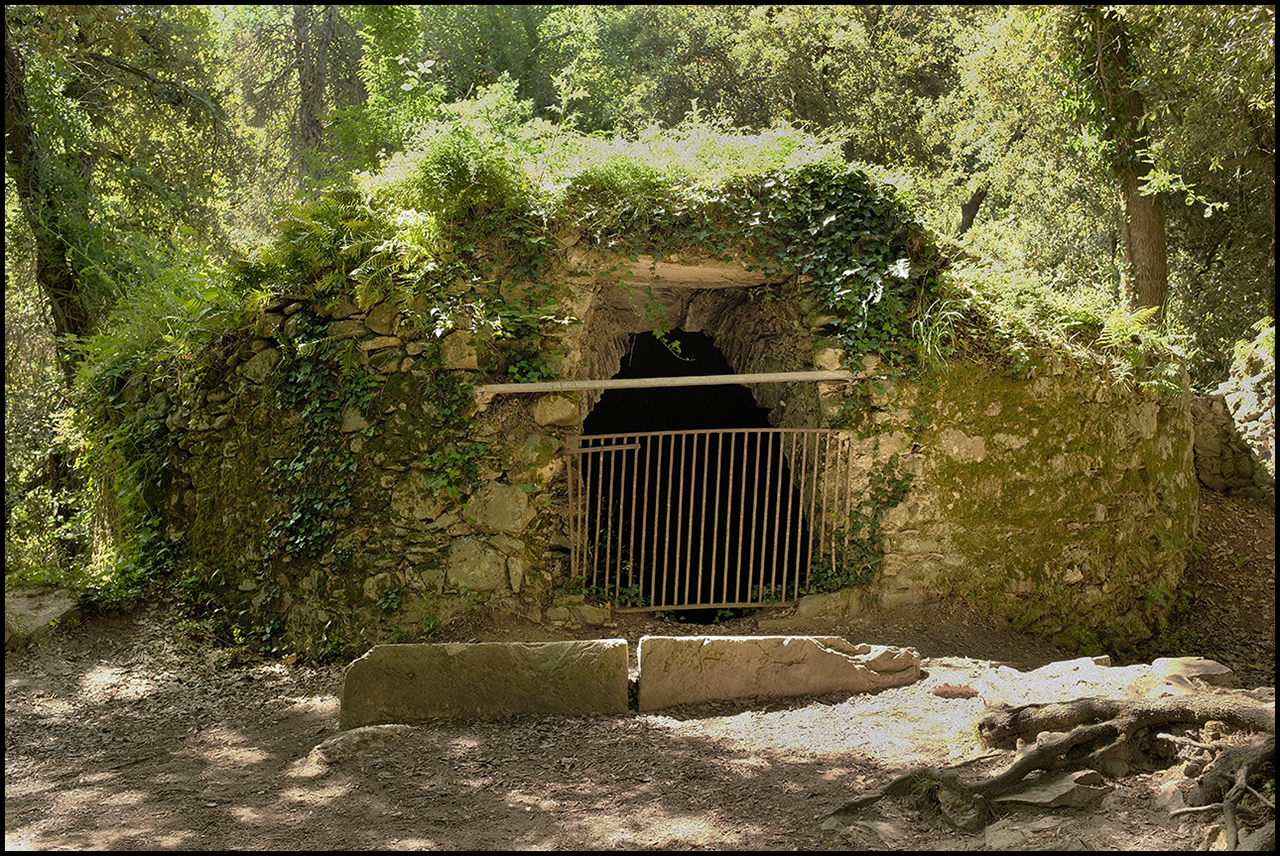 Kodak Portra 400 Pou de gel