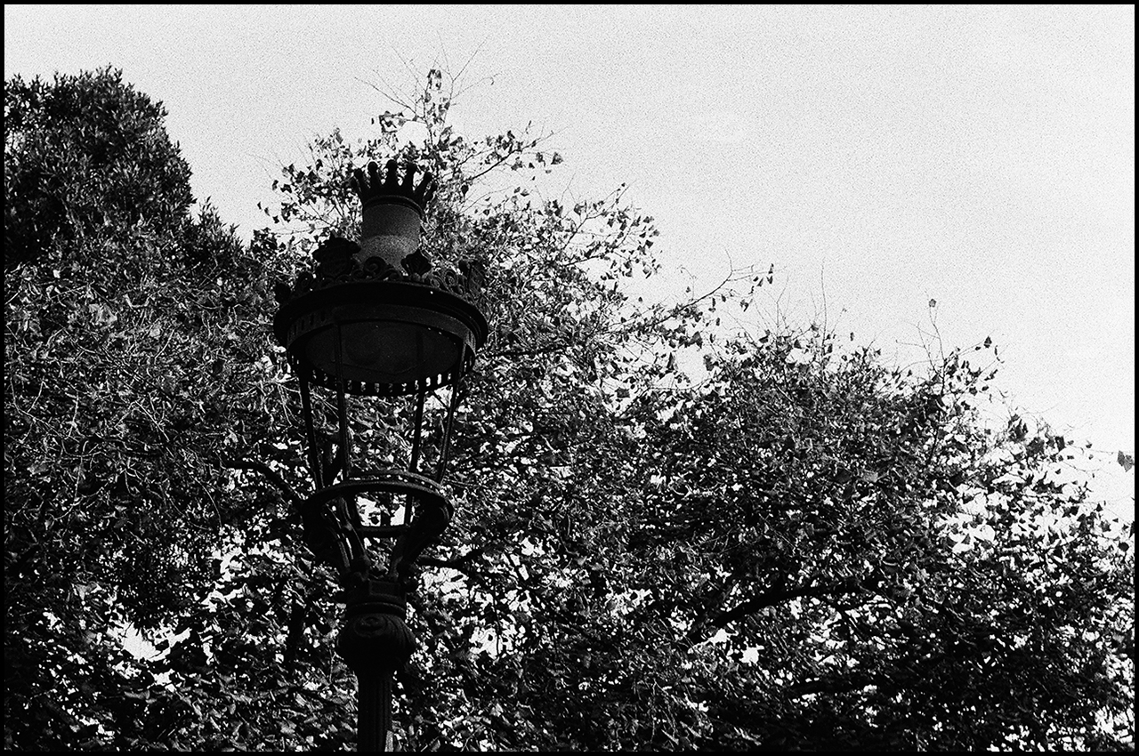 Revisión de Rollei RPX 100 Fanal