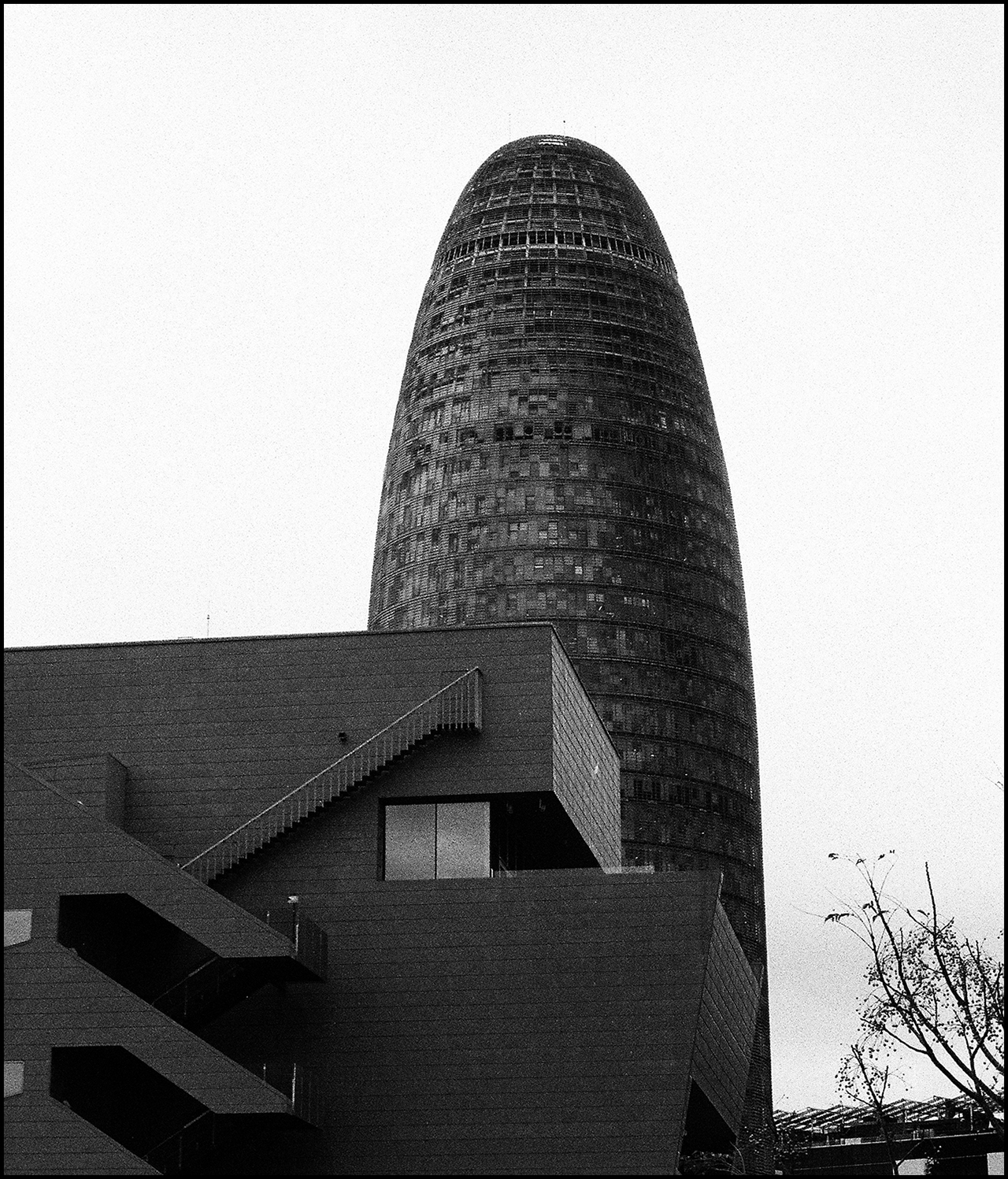 Nikkor 50mm ƒ/1.4 Ai-s Glorias