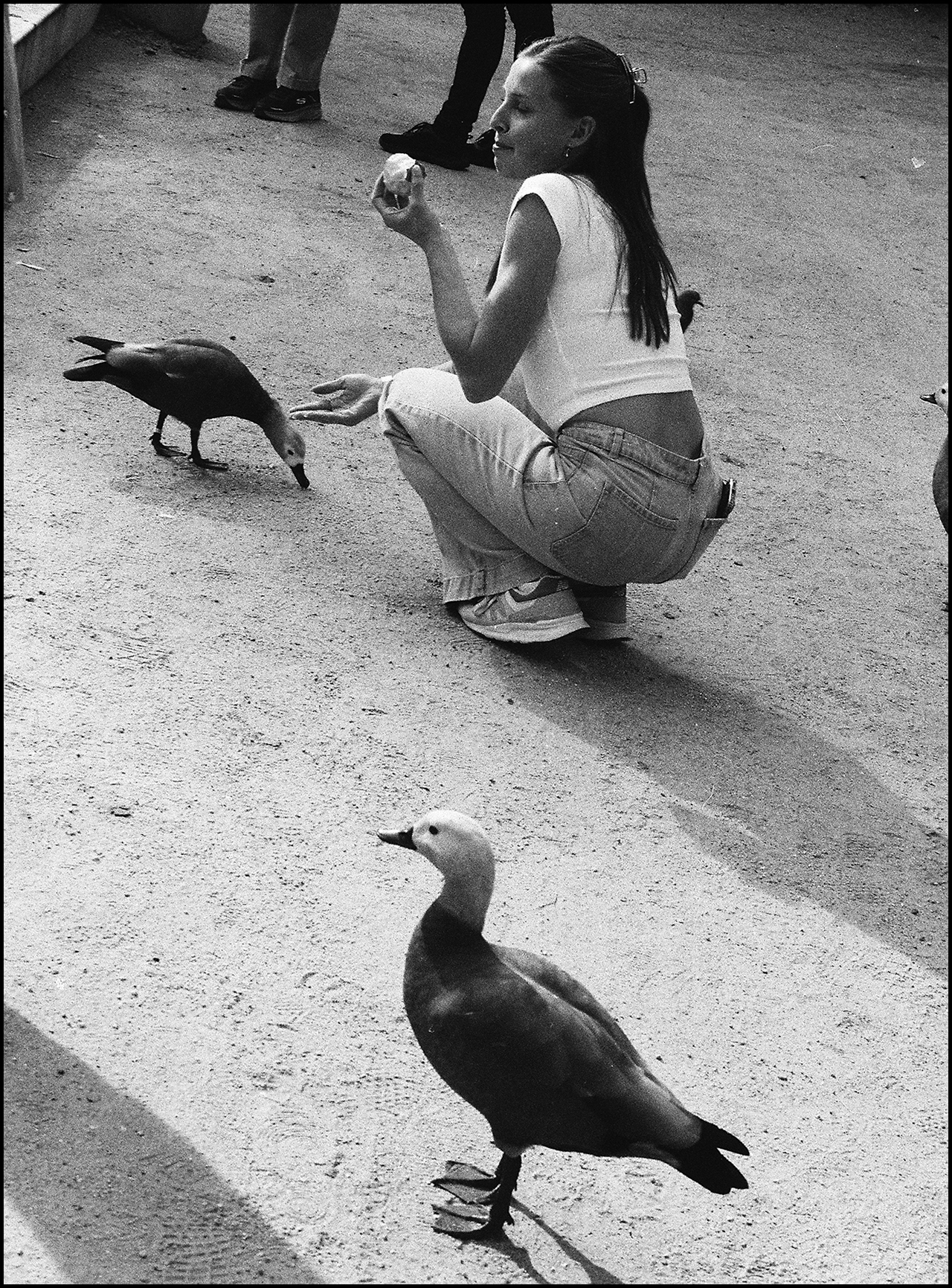 Nikkor 50mm ƒ/1.4 Ai-s Patos 2