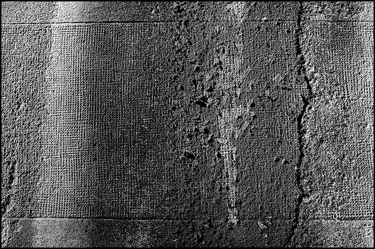 Revisión de Rollei RPX 100 Textura