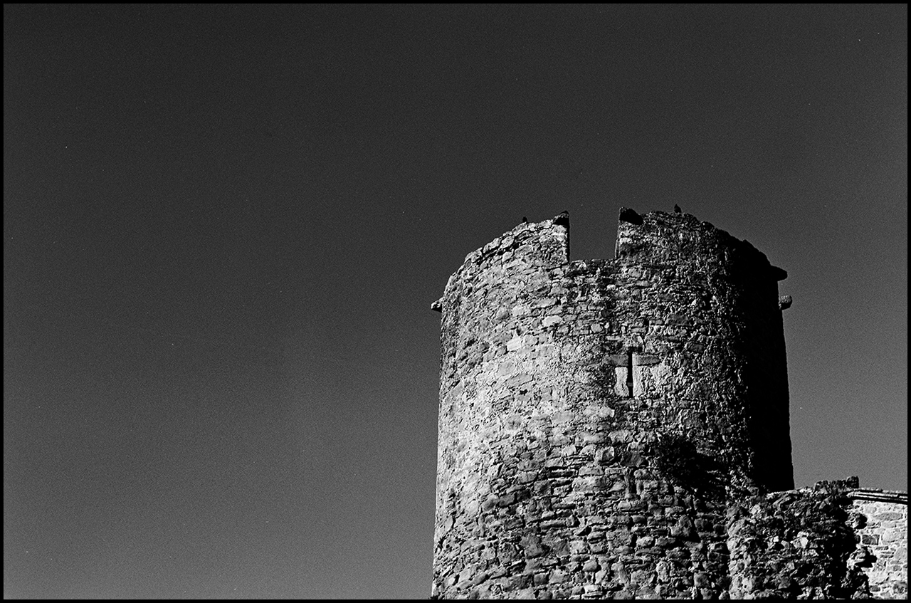 Rollei RPX 25 Torre
