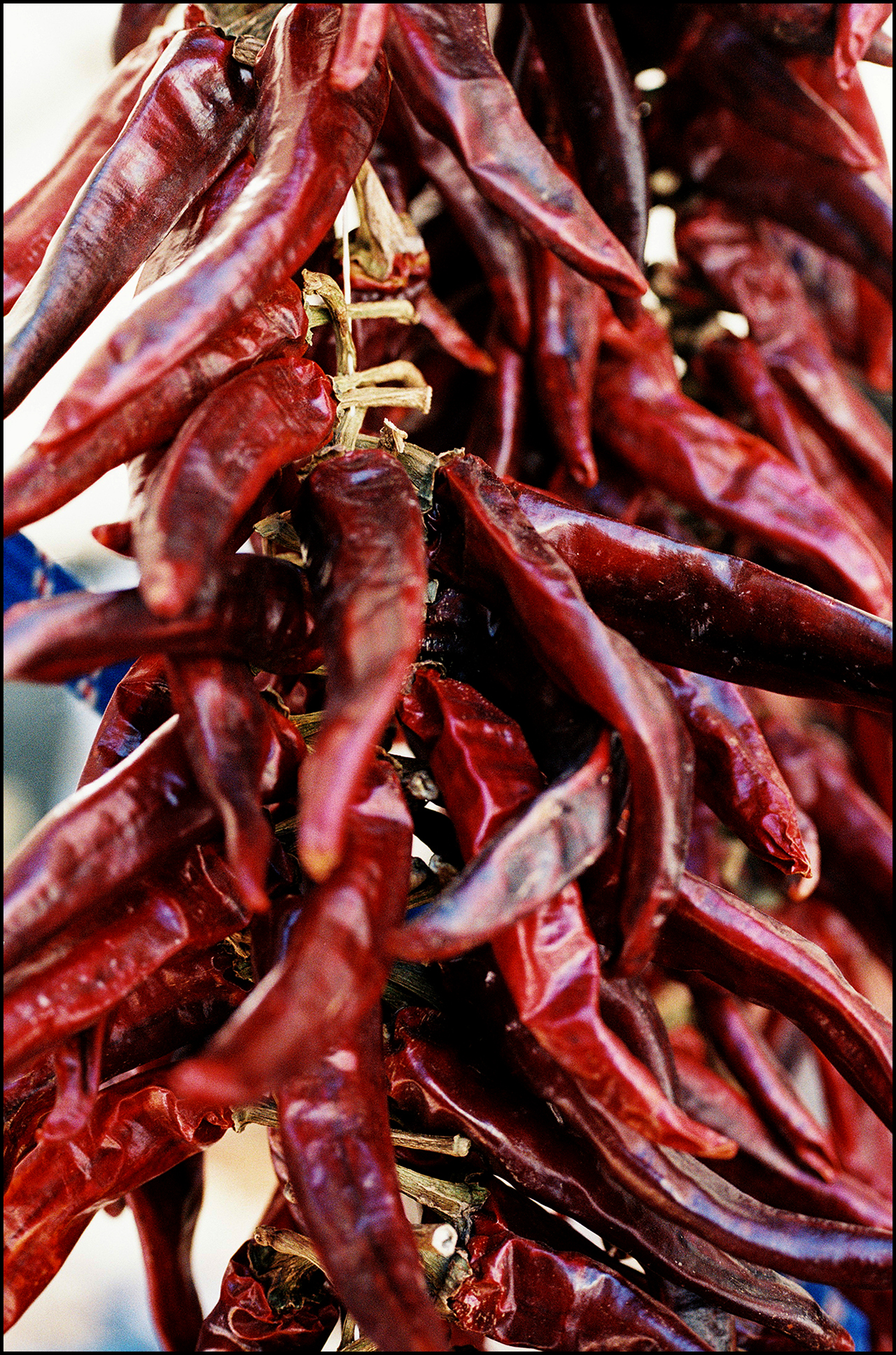 My Heart 400 Chiles 2