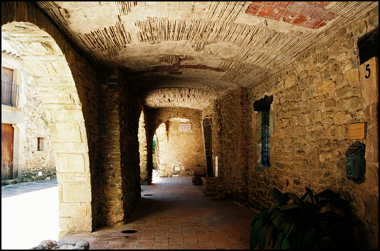 Contax T3 Monells